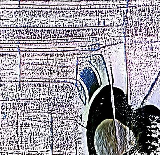 1609 8K by Abstratica