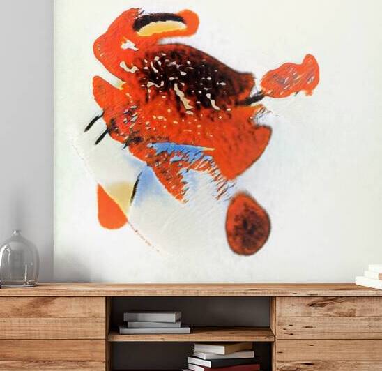 1735 8K by Abstratica