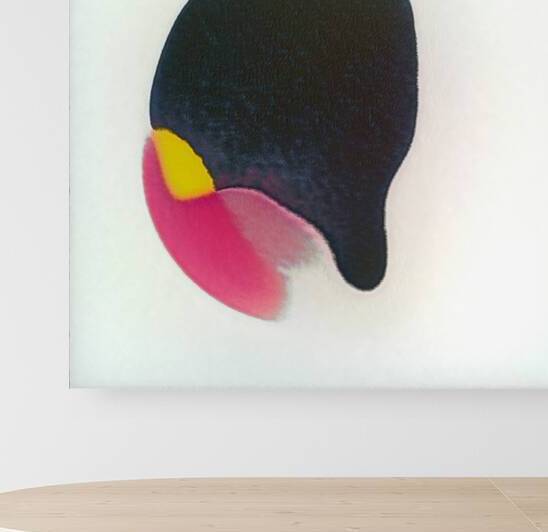 4123 8K by Abstratica